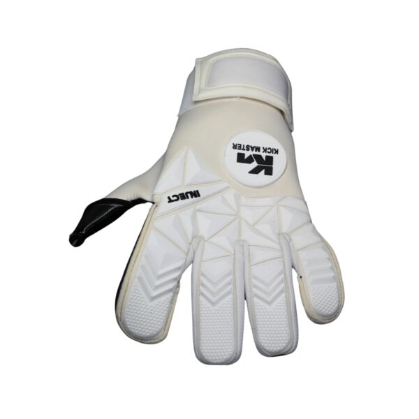 Professional Goalkeeping Gloves – Kick Master